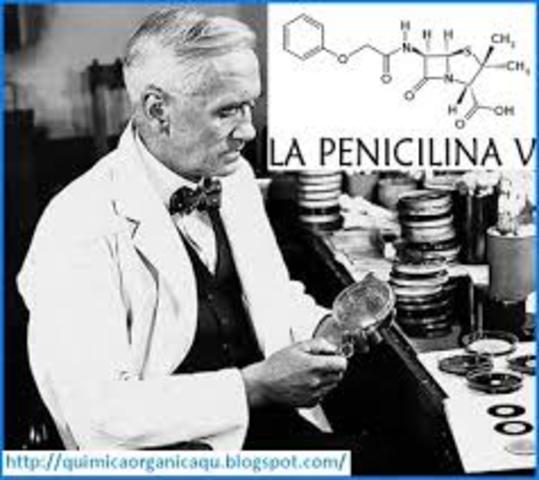Penicilina