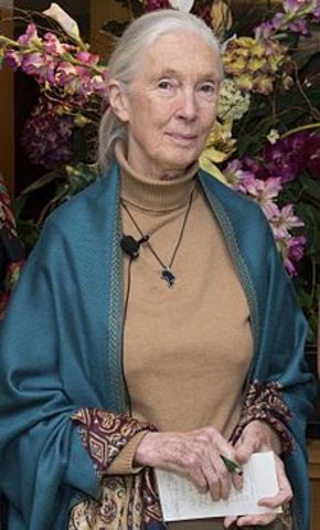 Jane Goodall