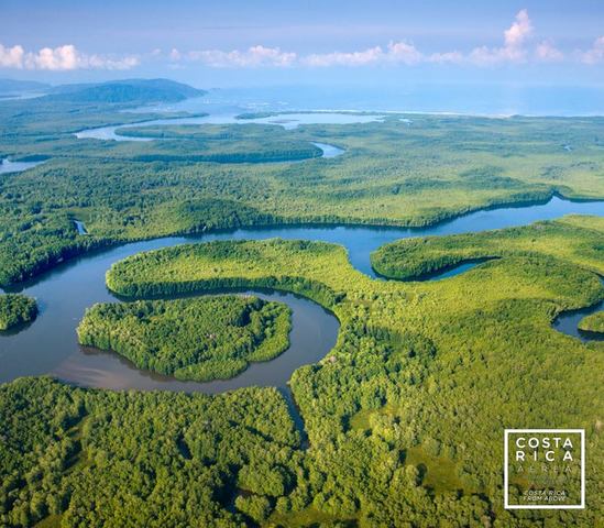Humedal Nacional Terraba Sierpe-Humedal