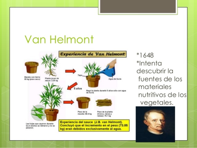 JAN BAPTISTA VAN HELMONT