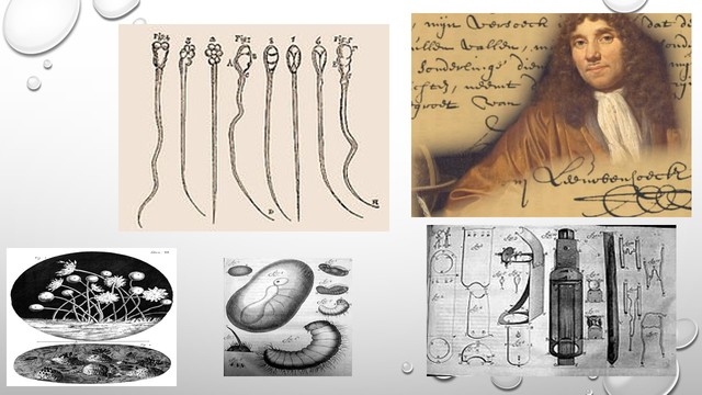 ANTON VAN LEEUWENHOEK