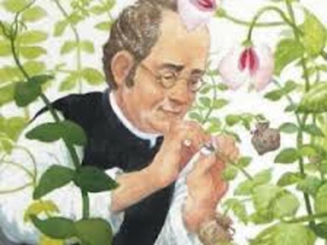 GREGOR MENDEL