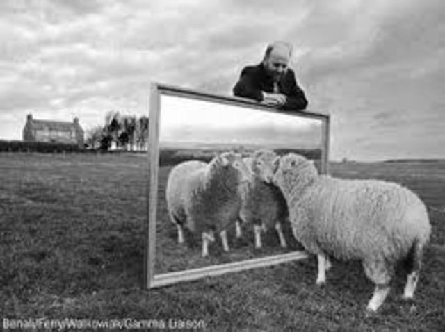 Ian Wilmut crea clonación animal