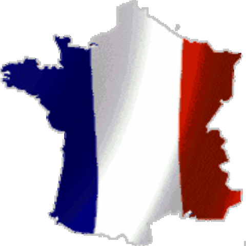 Constitucion de francia