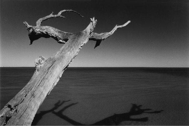 Gelatin Silver Prints- Antonia DiLuca