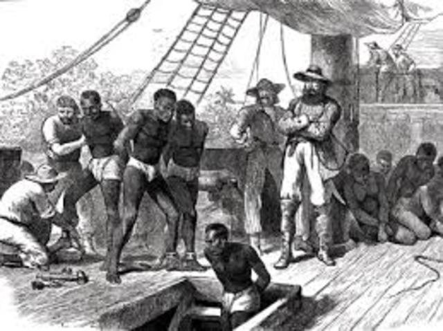 Forced Immigration And Slavery
