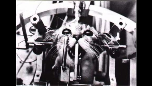 REGULACIÓN PARA NUEVAS TERAPIAS Y EXPERIMENTOS