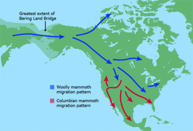 Migration to North America