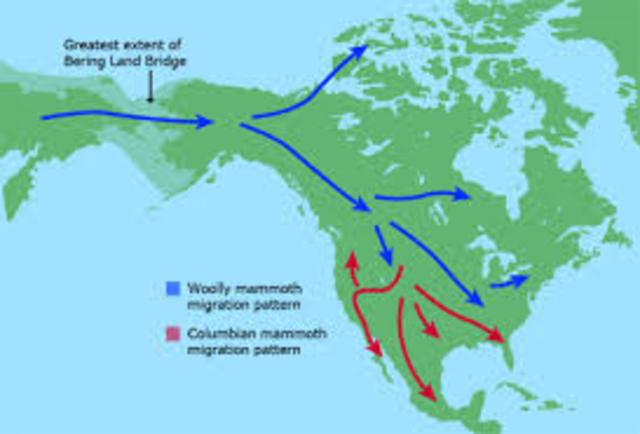 Migration to North America