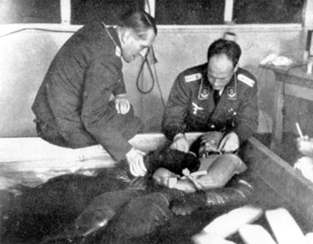 EXPERIMENTOS DE GENERACIÓN Y TRASPLANTE DE HUESOS