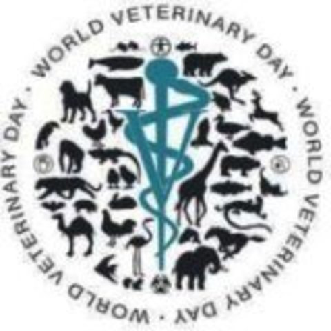 Dia del Veterinario