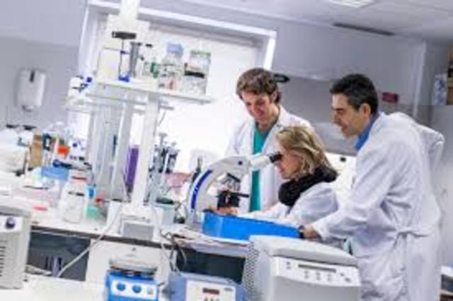 INVESTIGACIÓN EN SALUD