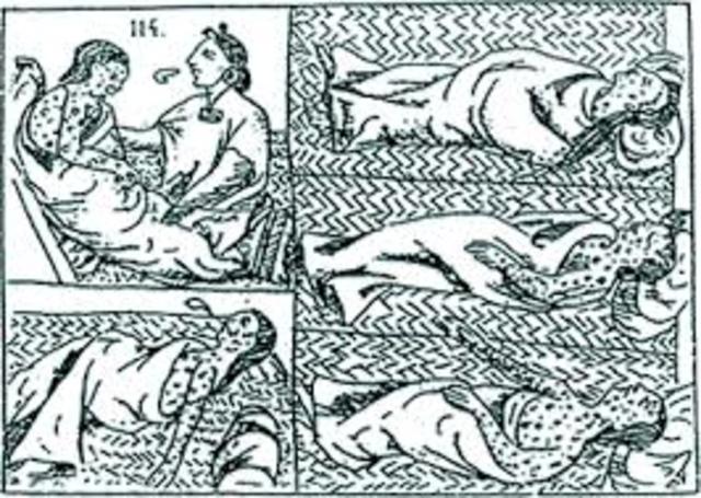 Disease and Indigenous Population Loss