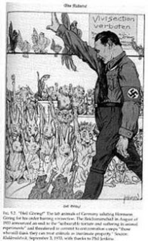 Ley de protección animal