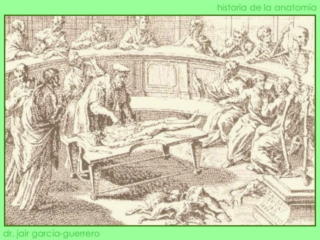 Antonio Benivieni (1507)