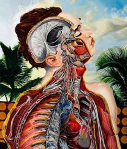 EDAD MODERNA WILLAM ARVEY