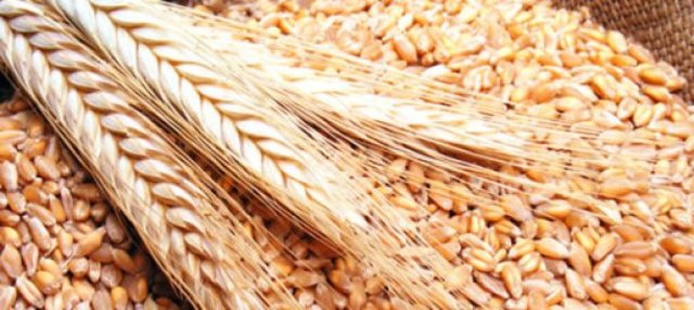 Surgimiento de la Agricultura