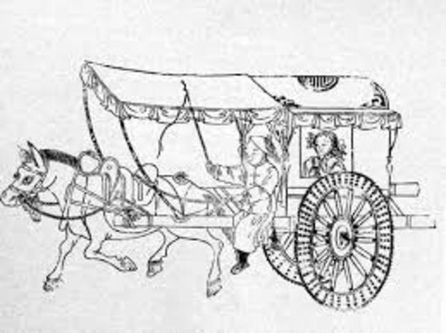Horse-Drawn Carriages