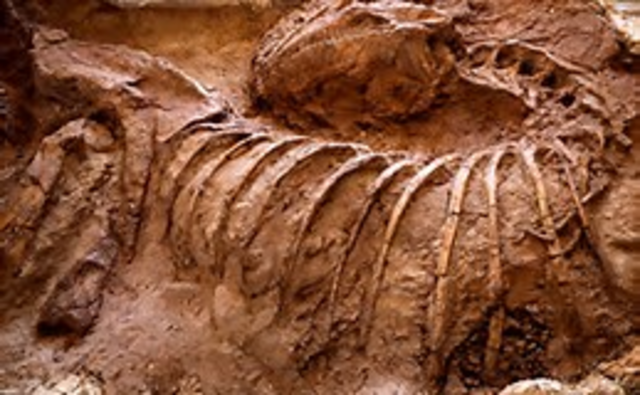 Landing in Argentina