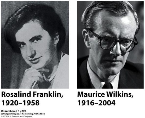 Franklin and Wilkins