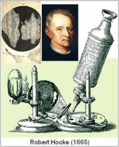 ROBERT HOOKE (28 de julio de 1635 - 3 de marzo de 1703)