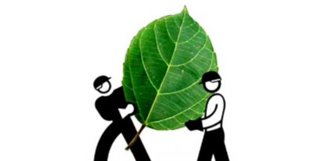 Empleos verdes en al léxico de OIT