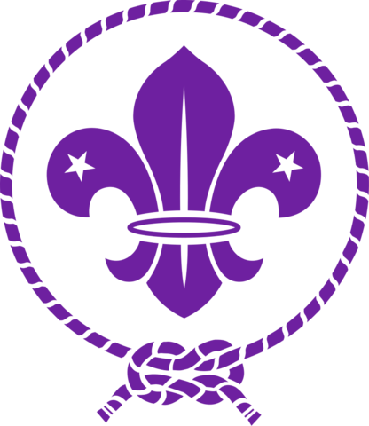 El Movimiento Scout es Oficialmente Reconocido