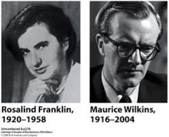 Rosalind Franklin and Maurice Wilkins