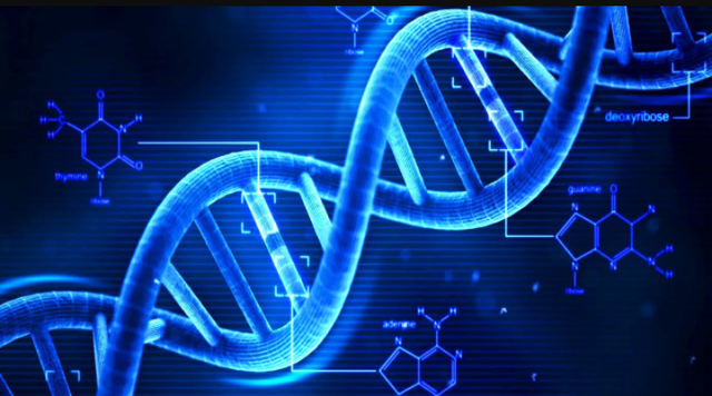 Discovery Of DNA