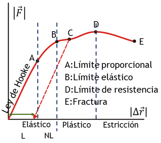 Robert Hooke (1635-1703)