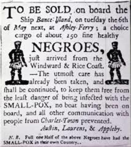 Scope of the Slave Trade