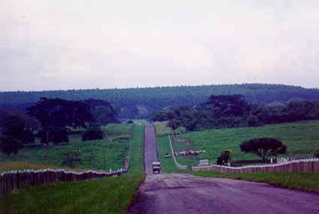 Primeras teorías de construcción de carreteras y vias