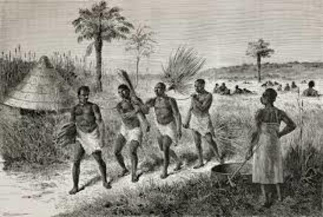 Scope of the Slave Trade