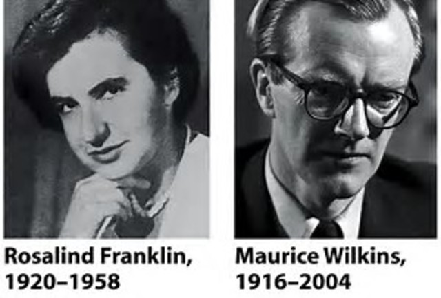 Franklins and Wilkins