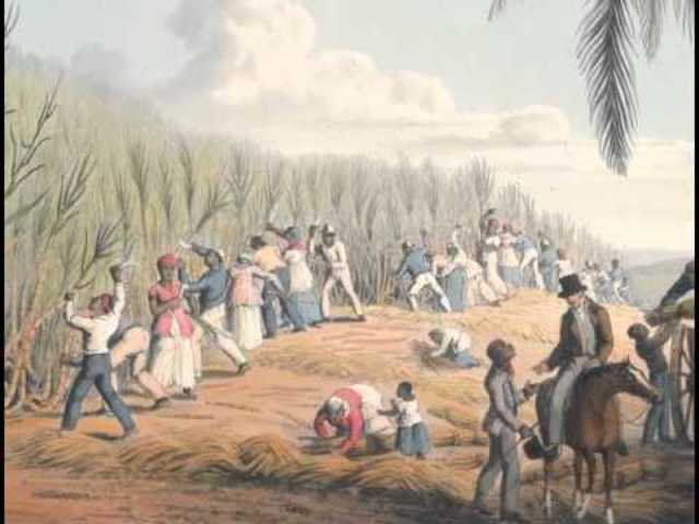 Scope of the Slave Trade
