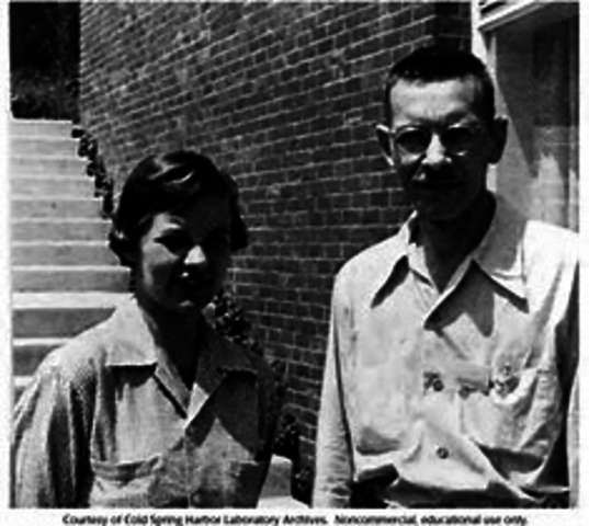 Hershey and  Chase 1952