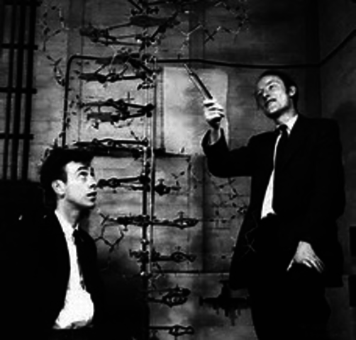 Watson and crick 1953