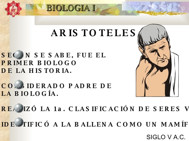 Filosofo naturalista" Aristoteles"  Siglo IV a.c