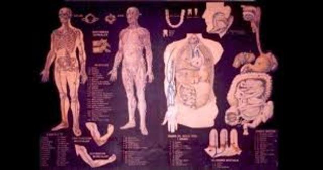 Herofilo de Calcedonia. Siglo II a.c