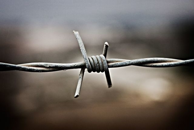 Barbed Wire
