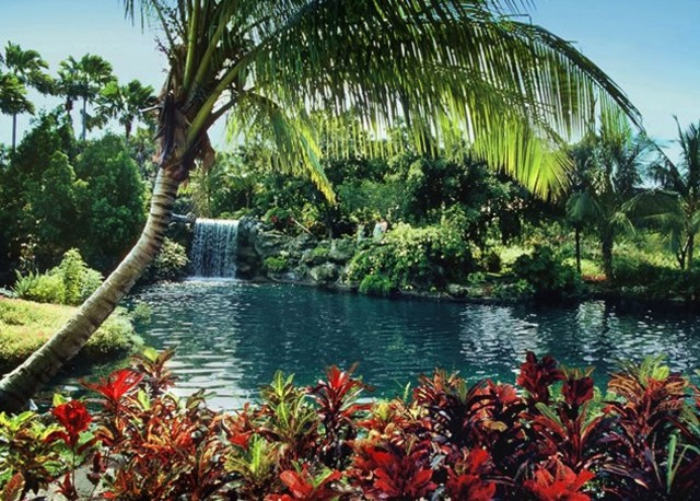 Freeport  Garden of the Groves