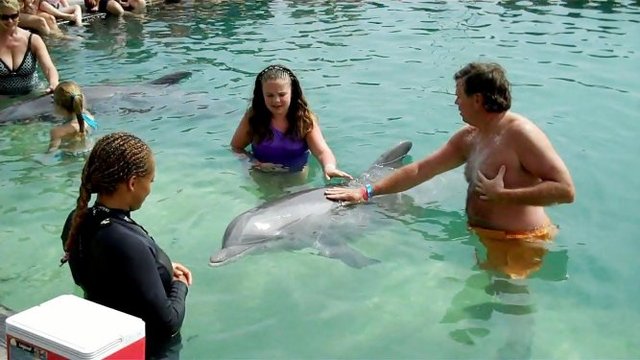Freeport: The Dolphin Experience