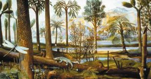 Carboniferous period