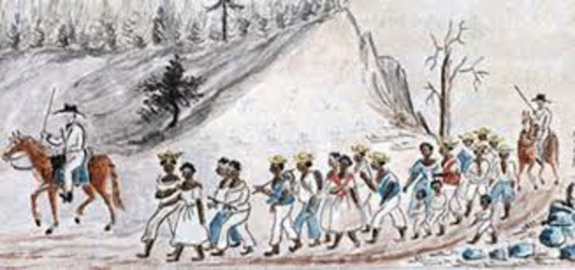 Forced Immigration and Enslavement