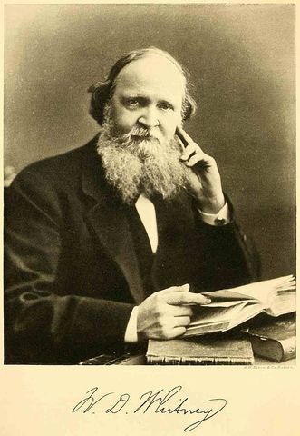 La vida del lenguaje