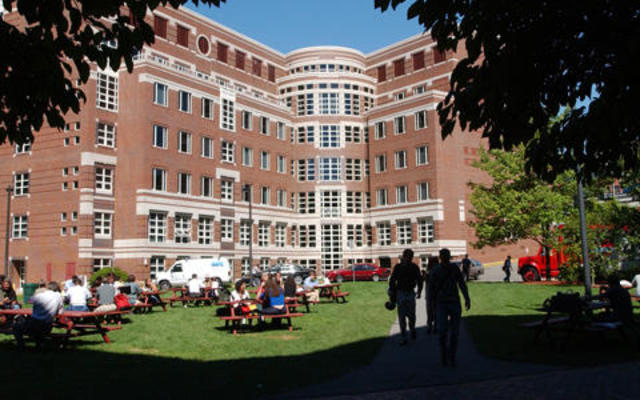 A criação - The Facebook