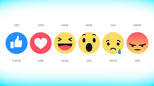 13 anos de criação