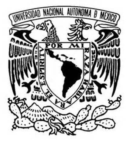 ¡Increíble pero cierto! Soy aceptada para estudiar en la UNAM