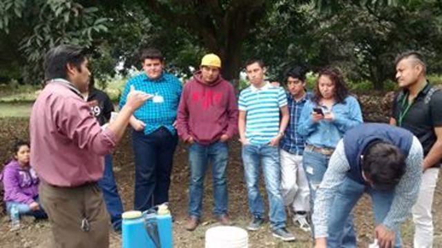 Cursos de agricultura organico