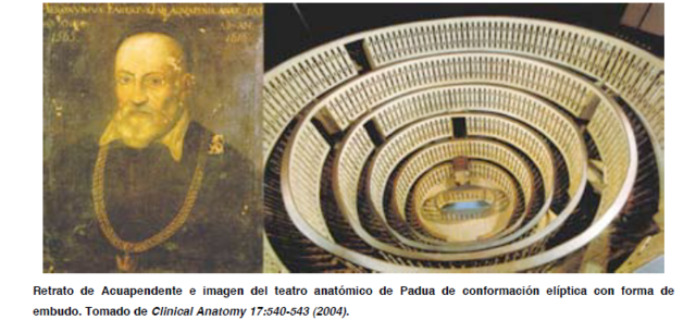 Girolamo Fabrizi D´Acquapendente